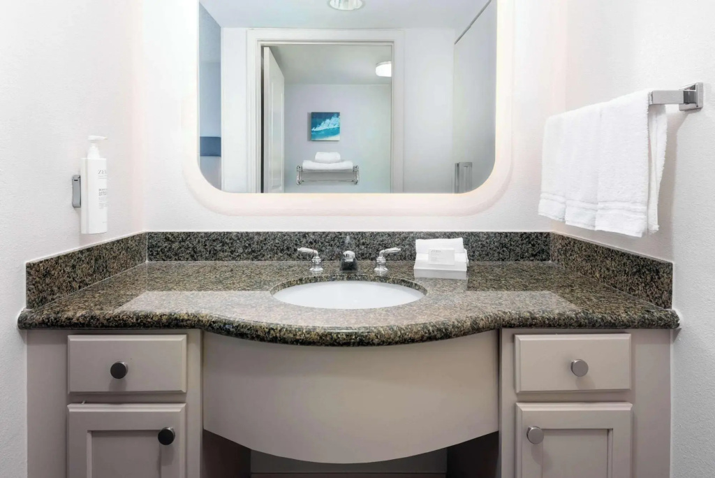 Homewood Suites by Hilton Tampa Airport - Westshore - Général