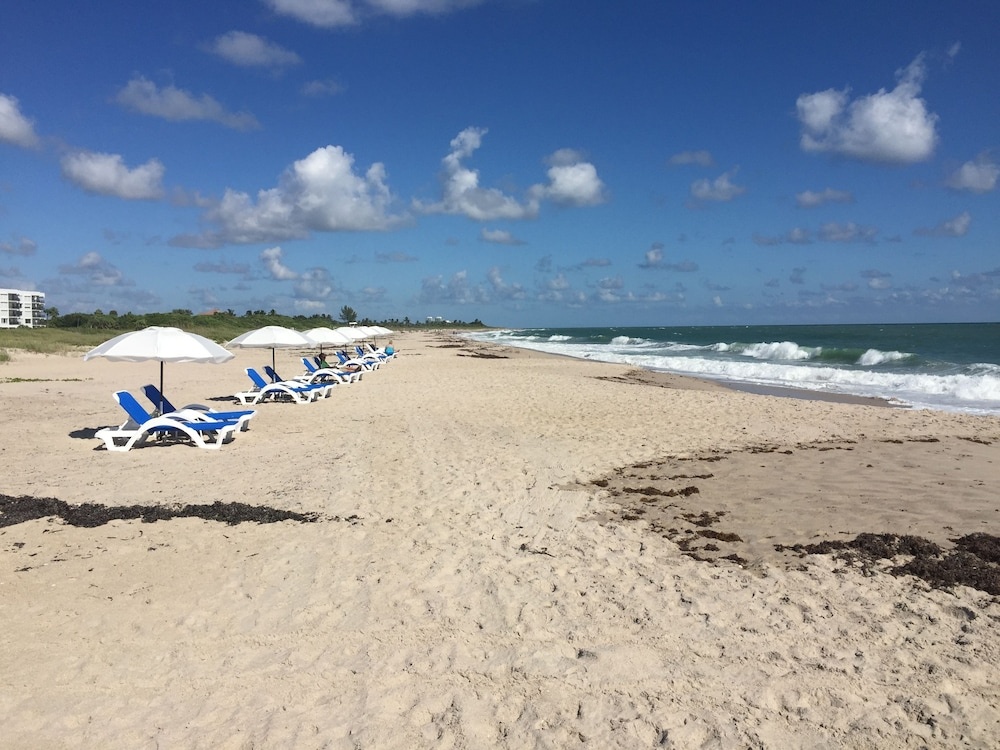 Beach & Waterfront