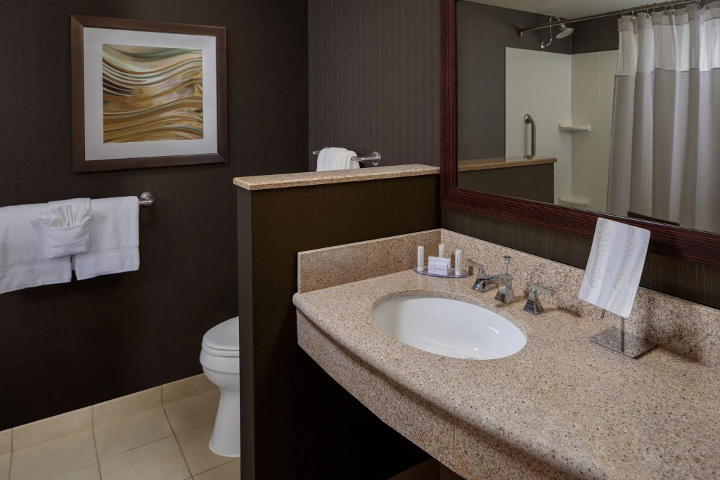 Courtyard by Marriott Houston Medical Center/NRG Park - Chambres