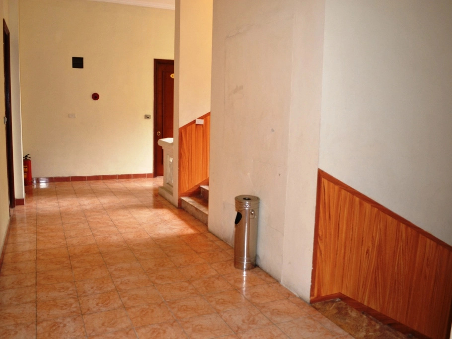 Cat Ba Plaza Hotel - Général