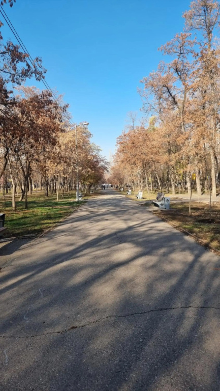 Квартира в Центре