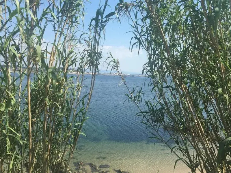 Beach & Waterfront