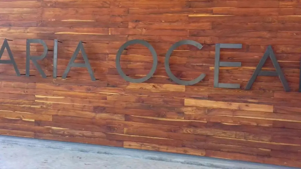 aria ocean Nvo Vallarta 2 sanitizado