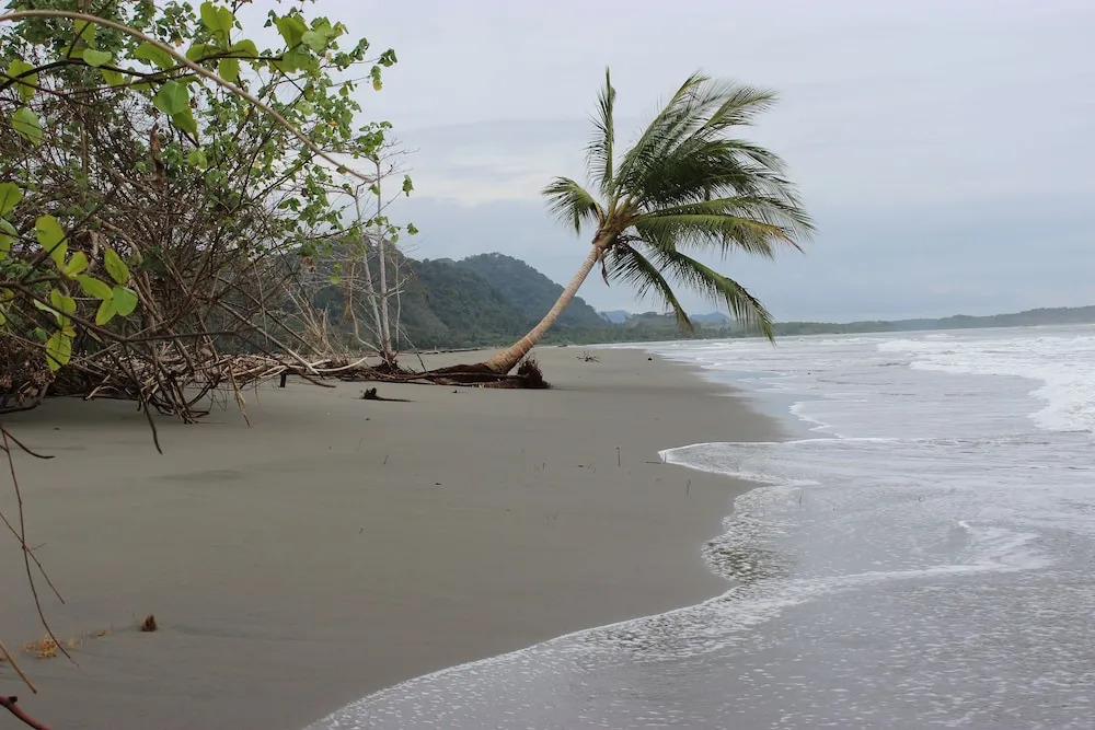 Villas de Oros - фото 13
