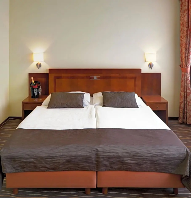 Luxury Family Hotel Bila Labut - Chambres