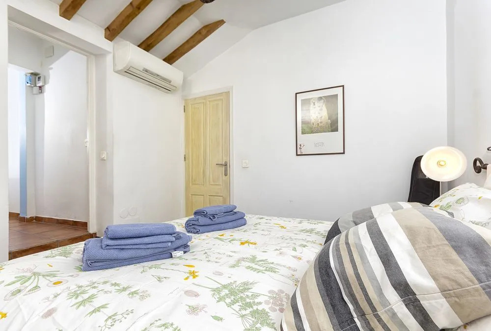 Solaga Lion — фото 2