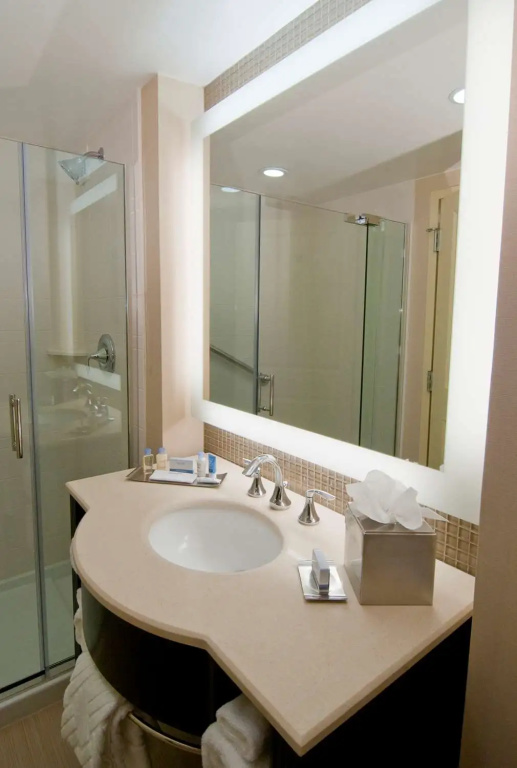DoubleTree by Hilton Sterling - Dulles Airport - Chambres