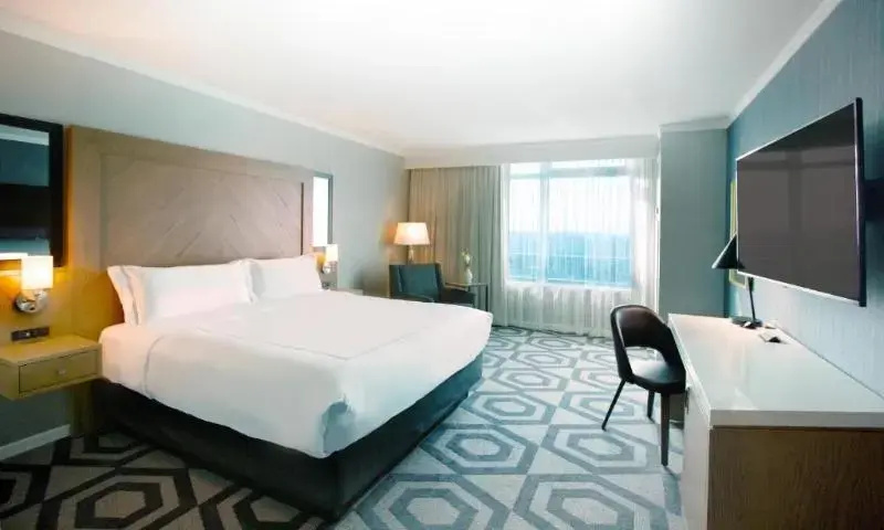 Deluxe Suite with city view