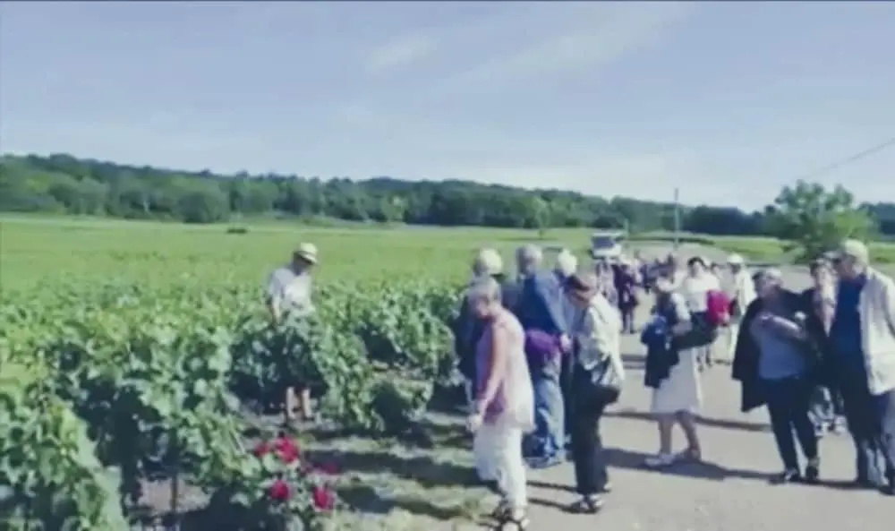 le Flaubert