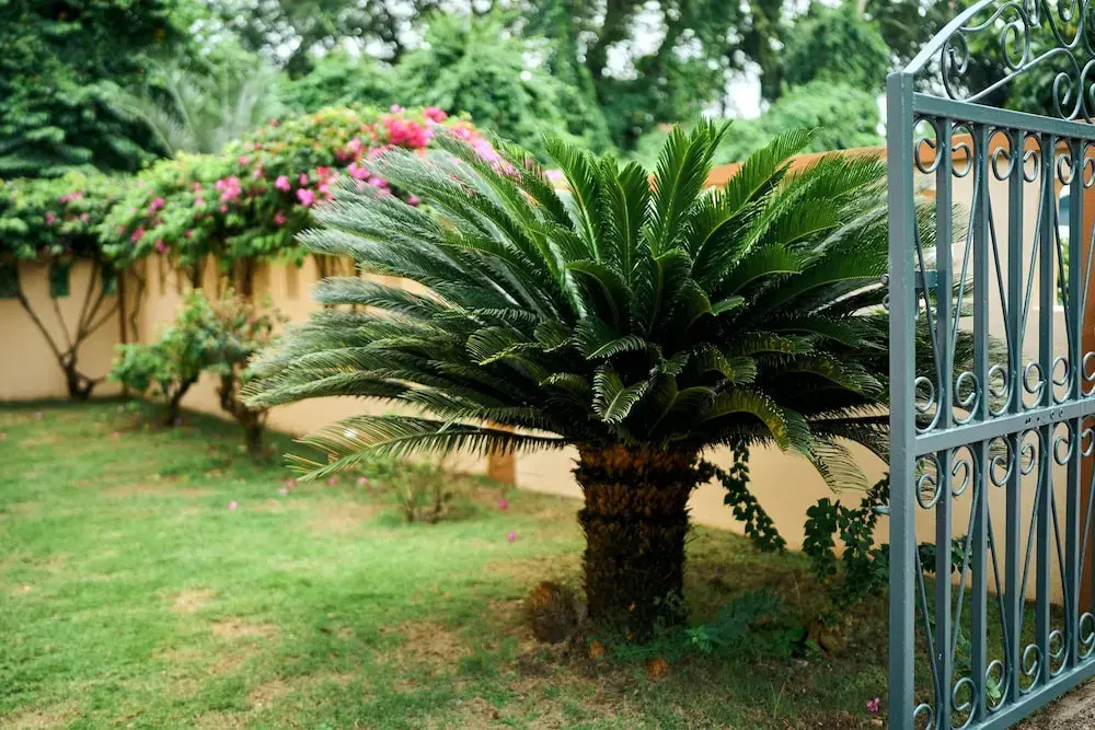 Valley Breeze Guest House - фото 35