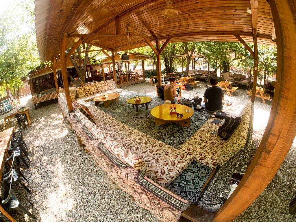 Saban Tree Houses by null