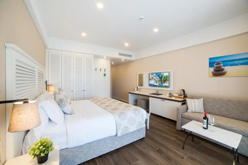 Standard Double room with pool view (full double bed)