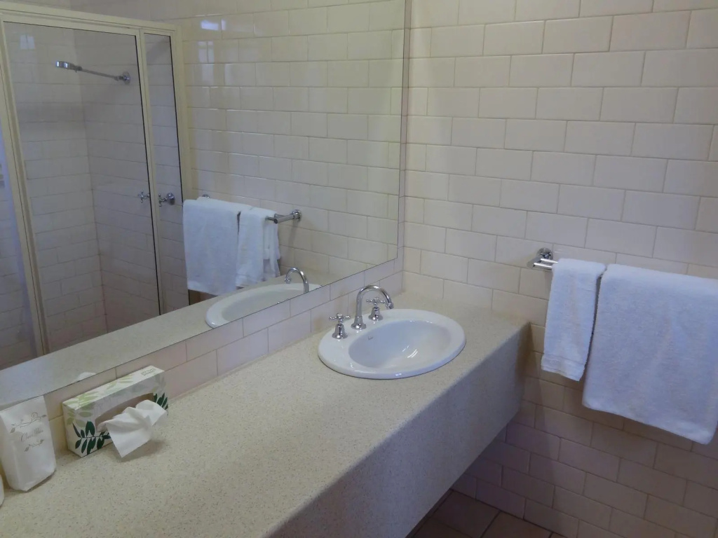 Executive Double room (full double bed)