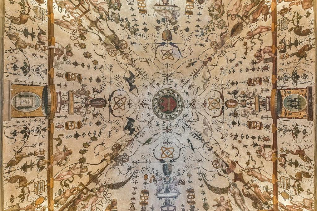 Palazzo Coli Bizzarrini Image 37