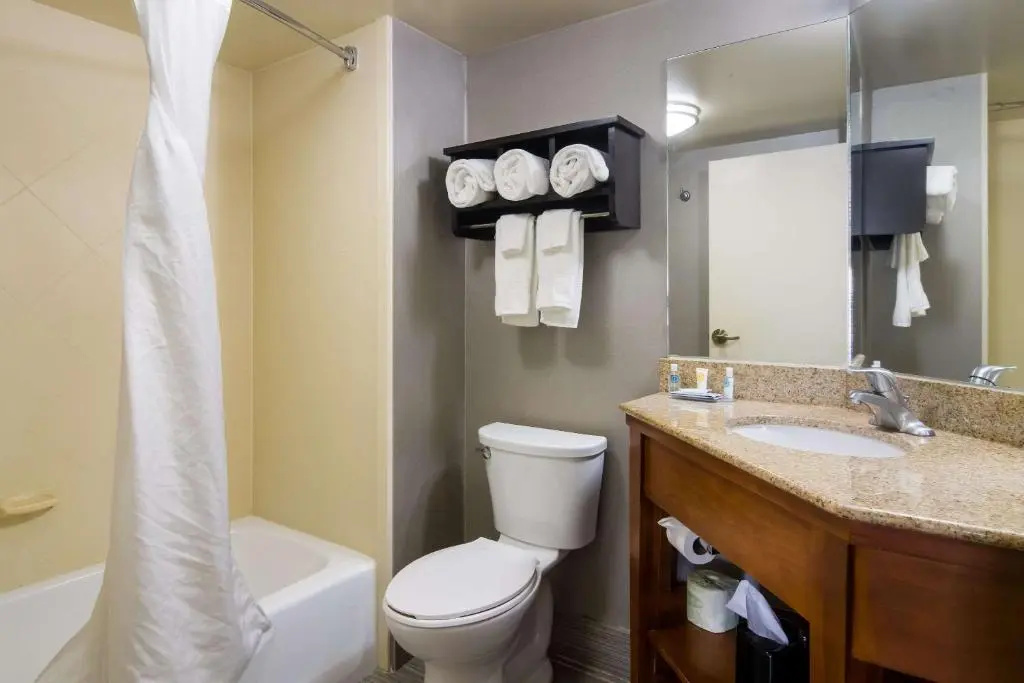 Comfort Inn Cadillac - Chambres
