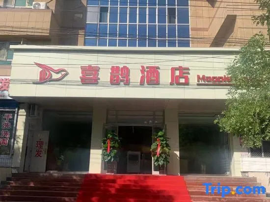 Korla Magpie Hotel