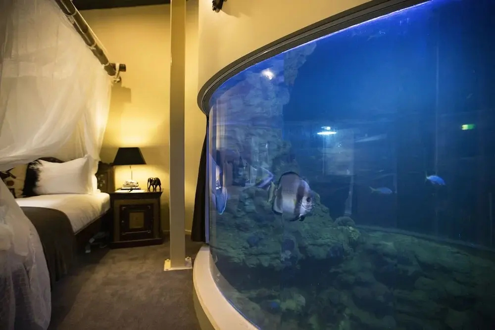 Jamala Wildlife Lodge - Chambres