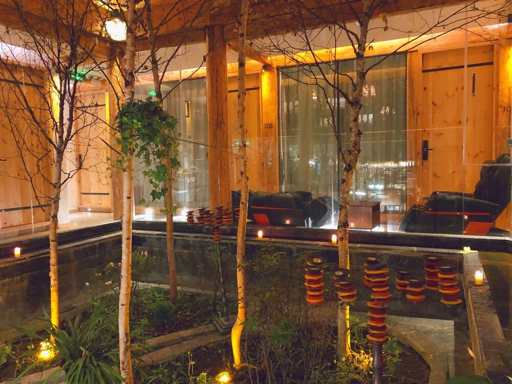Hotel photo 21