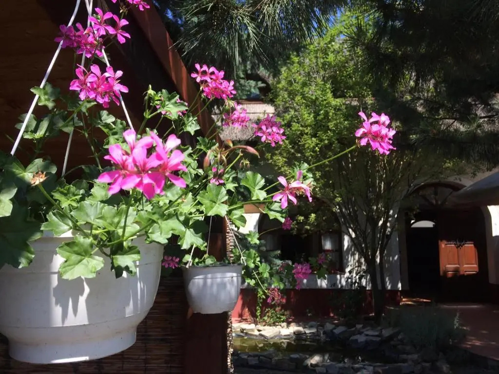 Cottage
