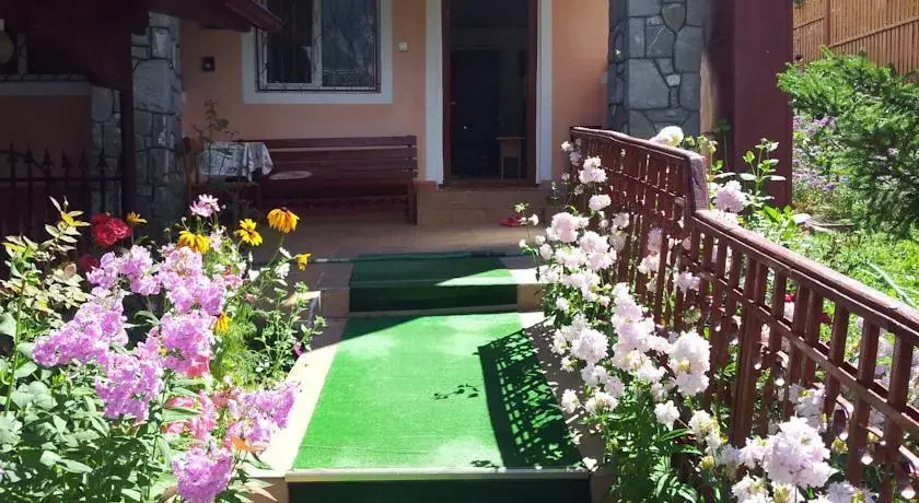 Pensiunea Zamora - фото 8