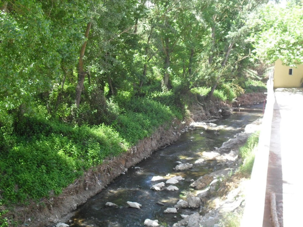 Hotel Río Piscina