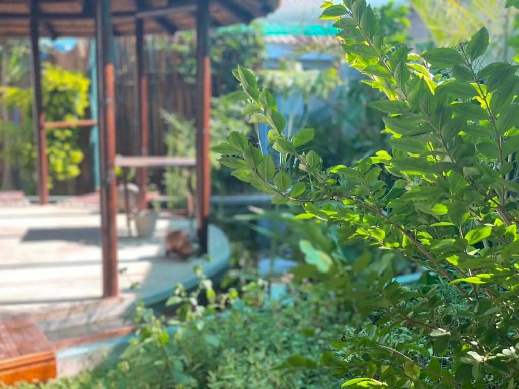 Alabaster Box B&B - фото 22