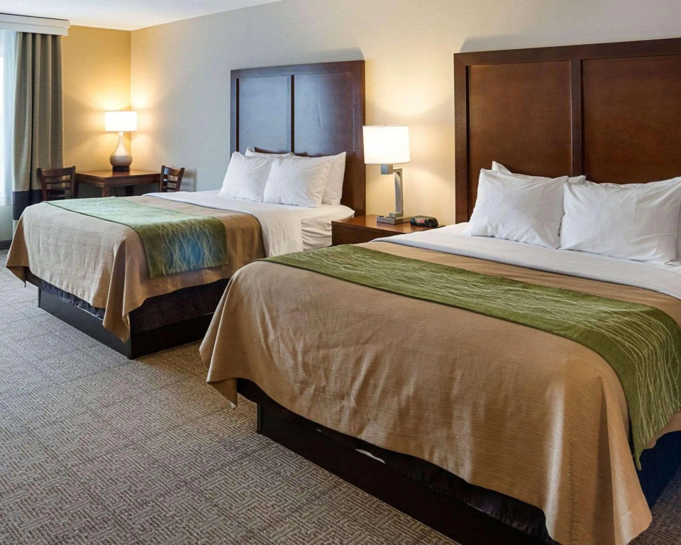 Comfort Inn Duluth West - Général