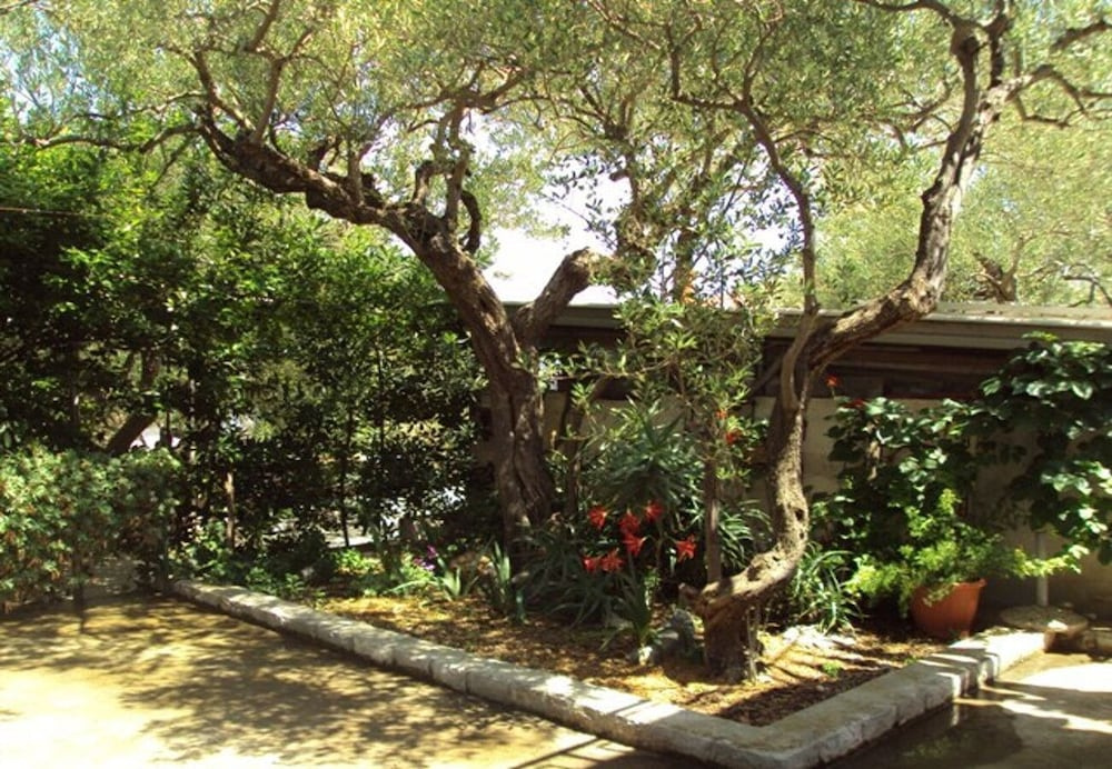 Apartment Pavo