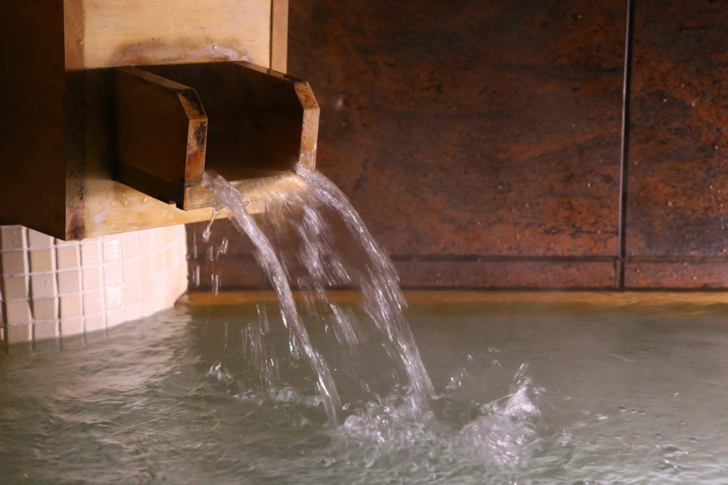 Ryokan Kamogawa Asakusa 사진 22