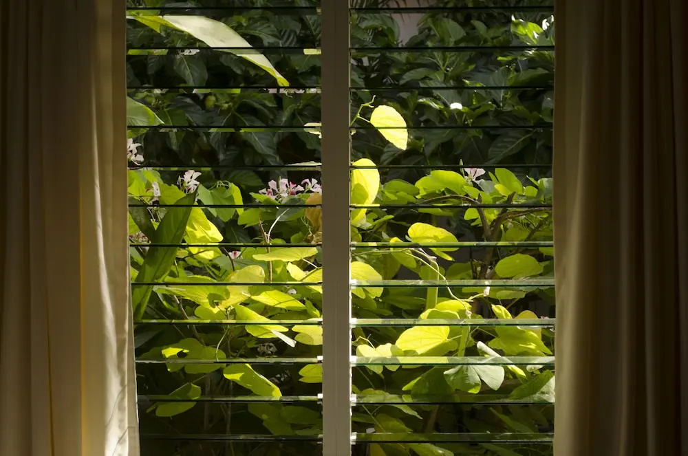 Suites Ejecutivas Los Arcos - Chambres