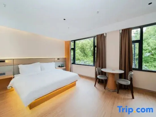 Standard Double room with city view (full double bed)