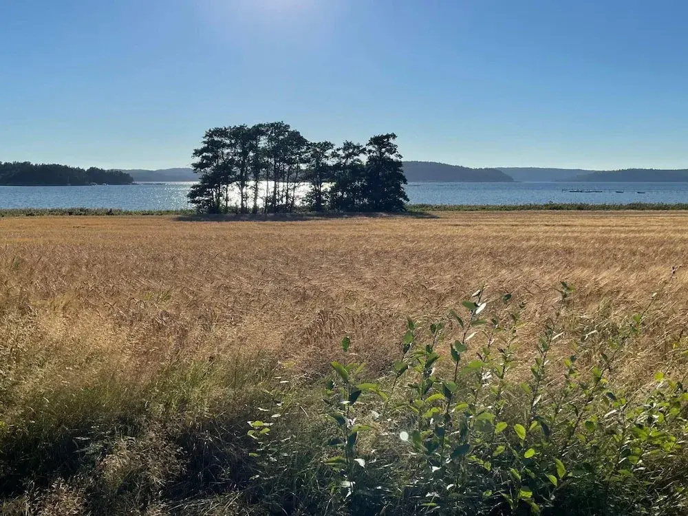 4 Person Holiday Home in Uddevalla