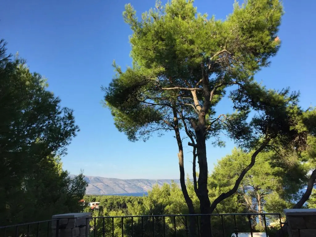 Vila Familia Hvar - Chambres