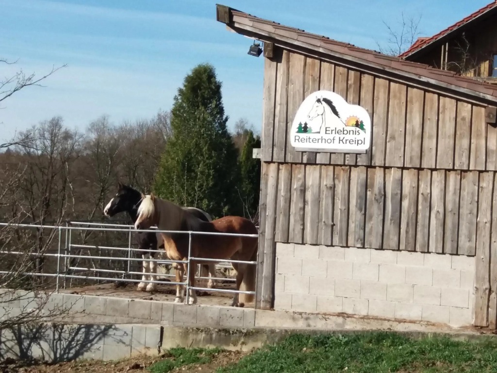 Ferienwohnung auf dem Erlebnisreiterhof Kreipl