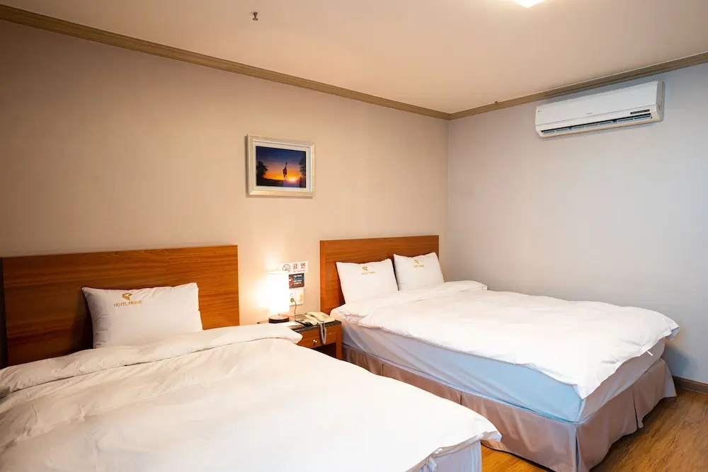 Deluxe Double room (twin beds)