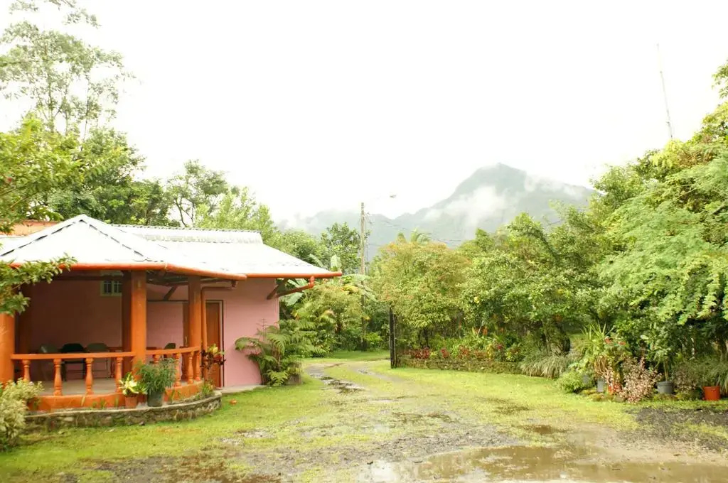 Hostal Orquidea