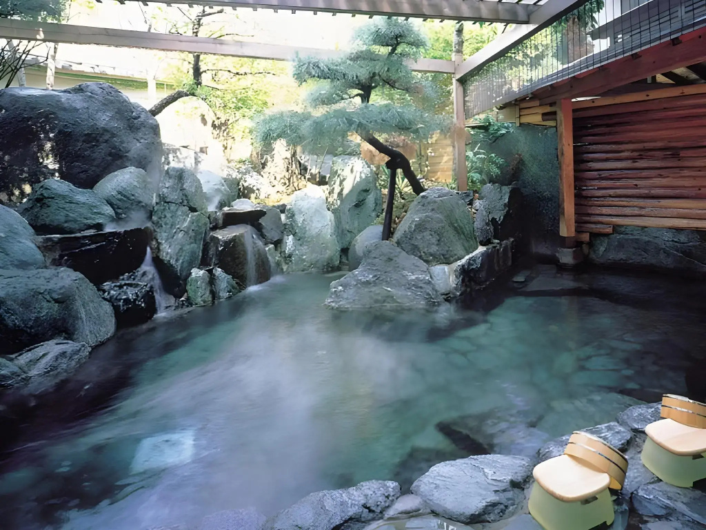 Ryokan Izutsuya - Général