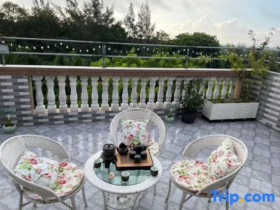 Balcony & Terrace