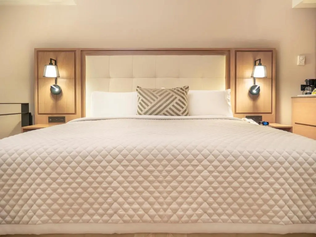 MS Milenium Monterrey, Curio Collection by Hilton - Chambres