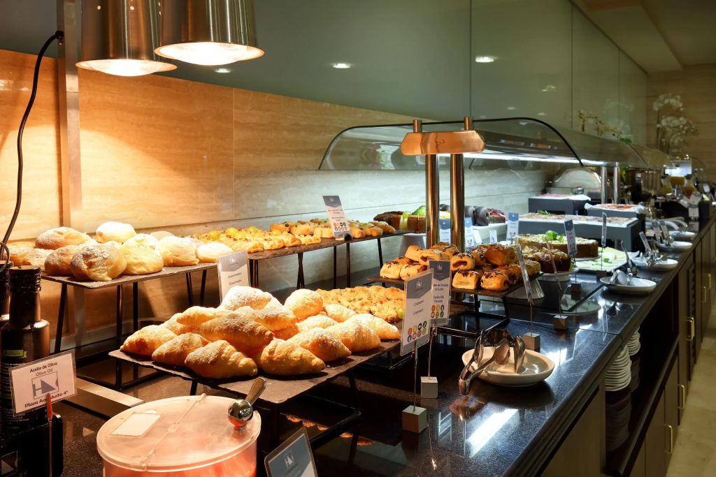 Eurostars Plaza Acueducto - Général