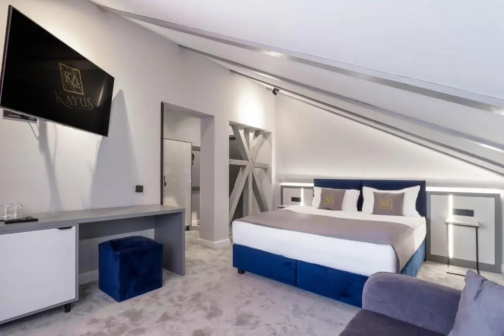 Standard Family Attic room
