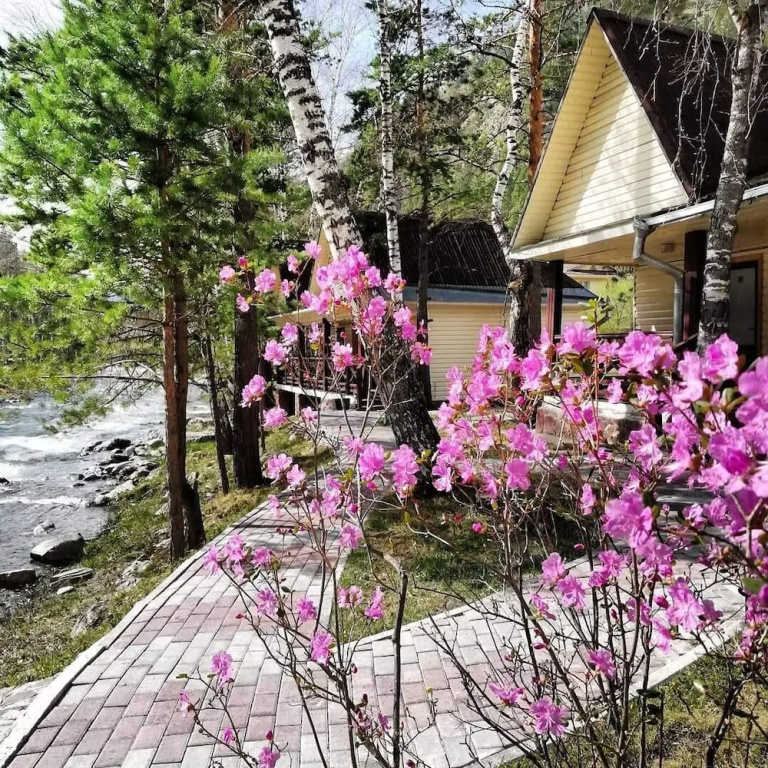 Cottage
