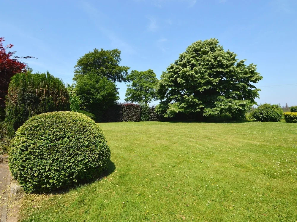 Historic Cottage in Vielsalm With Private Terrace - фото 10