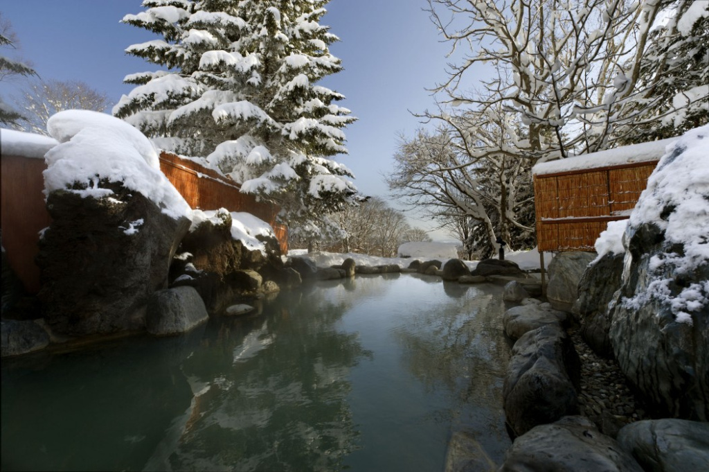 Kasara Niseko Village Townhouse - Général