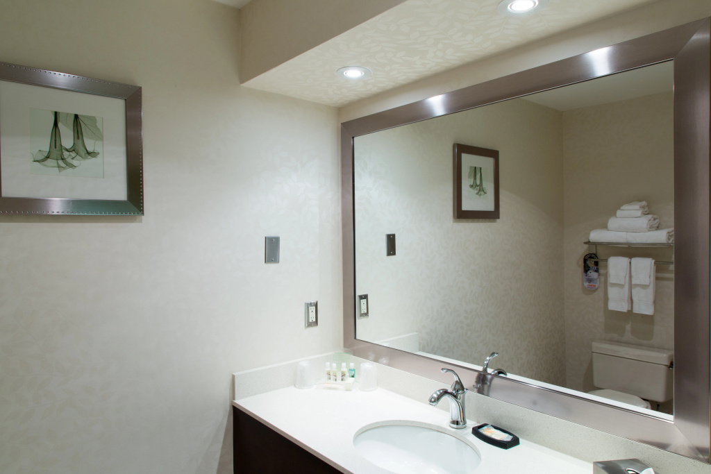 Holiday Inn & Suites Windsor Ambassador Bridge by IHG - Général