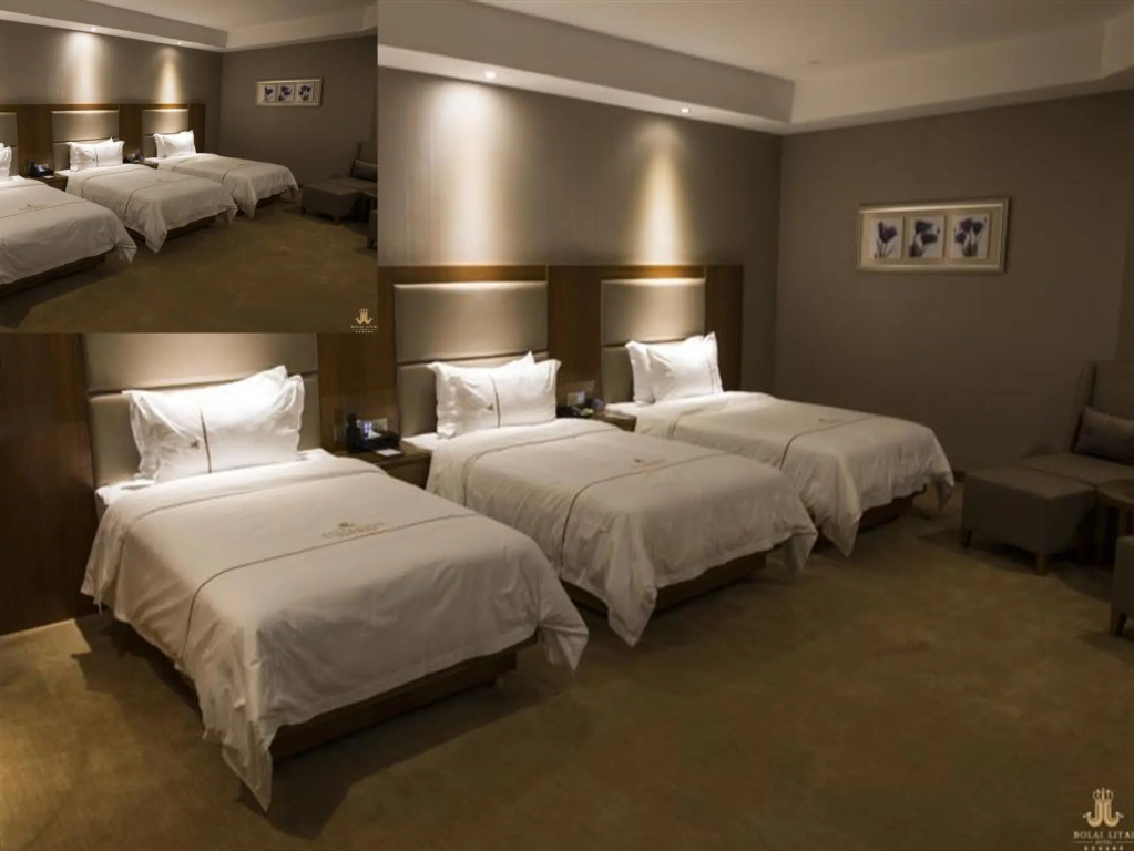 Bolailitai Hotel - Chambres