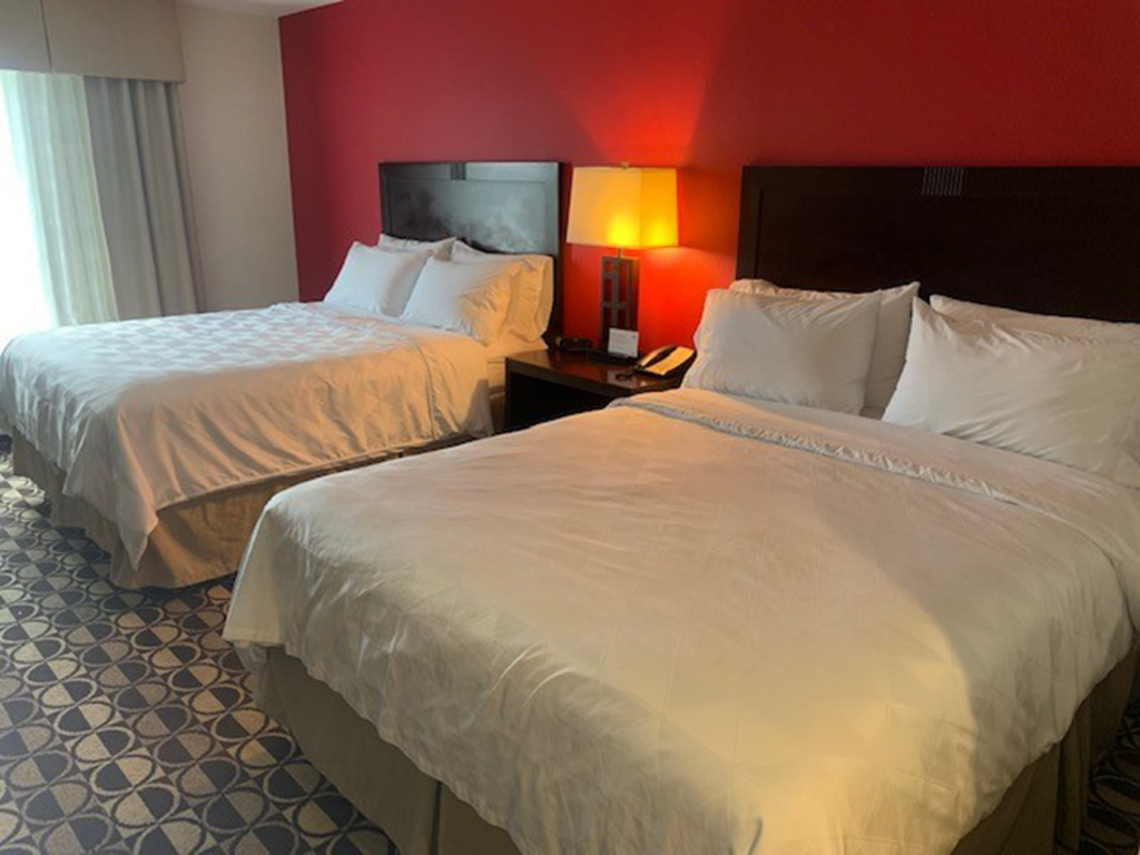 Holiday Inn St. Louis Fairview Heights by IHG - Général