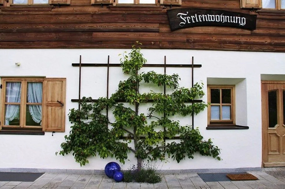 Chalet Menkenhof