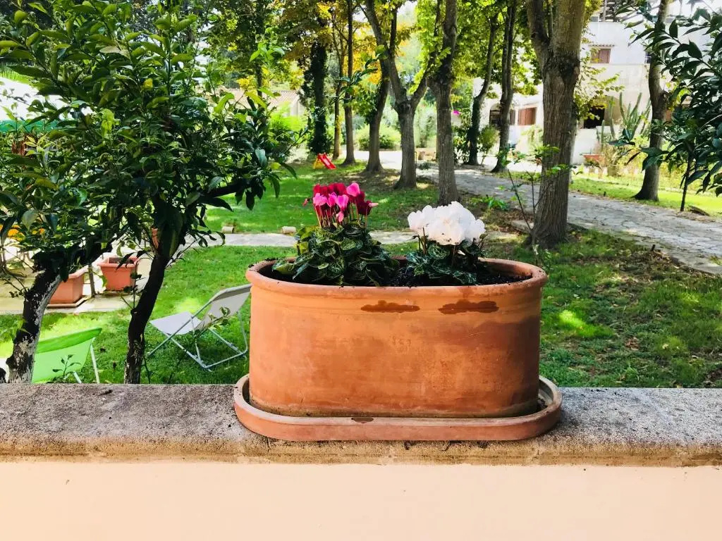 Dimora Il Tiglio- Appartamenti