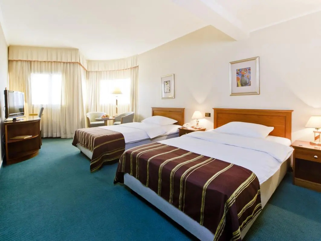 Hotel Dubrovnik - Chambres